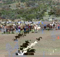 Gresford Agricultural Show - Sydney 4u