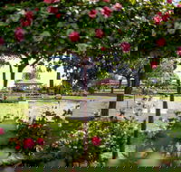 Griffith Spring Fest - Accommodation Sydney