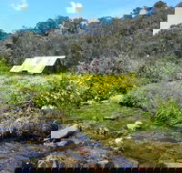Hedonistic Hiking's Falls Creek to Hotham - Accommodation Sydney