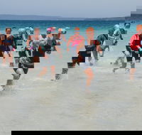 IGA Callala Triathlon Festival - Accommodation Sydney