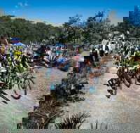 JetBlack Wild Wombat MTB Challenge - Accommodation Sydney