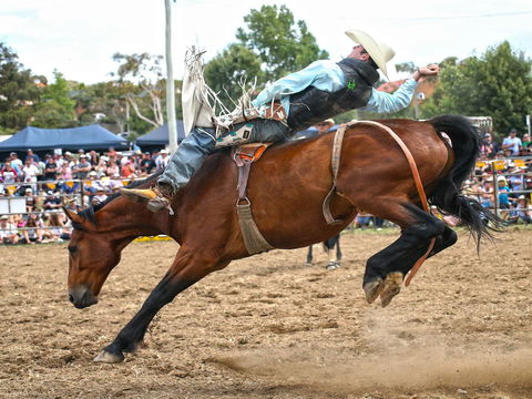 Jindabyne's Man From Snowy River Rodeo - Accommodation Sydney 1