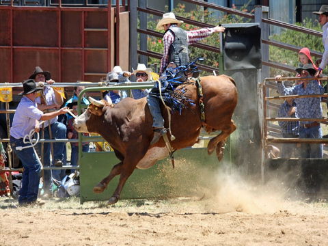 Jindabyne's Man From Snowy River Rodeo - Accommodation Sydney 2