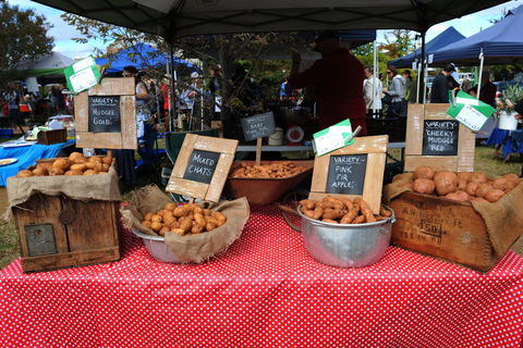 Lawson Park Markets - Accommodation Sydney 0
