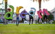 Macquarie Credit Union DREAM Festival - thumb 0