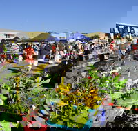 Maclean Community Monthly Markets - Accommodation Sydney