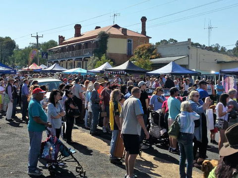 Man From Ironbark Festival - Accommodation Sydney 0