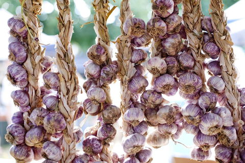 Meeniyan Garlic Festival - Accommodation Sydney 0