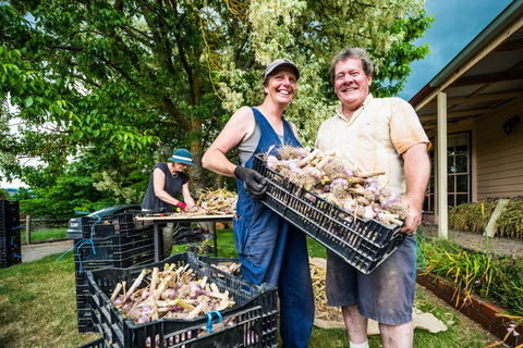 Meeniyan Garlic Festival - Accommodation Sydney 2