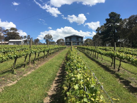 Mortimer's Diploma Of Taste - Accommodation Sydney 0