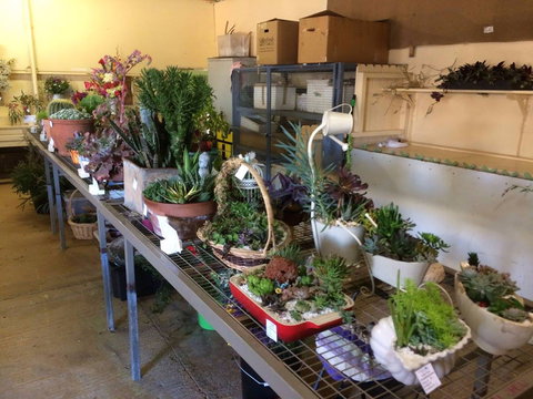 Narrabri Show - Sydney Resort 2