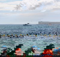 Nowra Toyota triHusky Huskisson Triathlon Festival Little Husky - Accommodation Sydney
