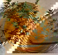 Online live streaming class DIY Skincare Products - Accommodation Sydney