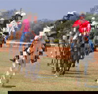 Pride of the West Races 2020 - Accommodation Sydney
