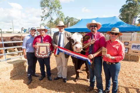 Primex Field Days - Accommodation Sydney 0