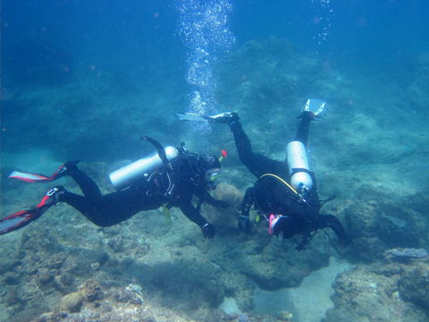 Recovery Of The Great Barrier Reef Expedition - Accommodation Sydney 1