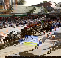 Scone Horse Festival - Accommodation Sydney