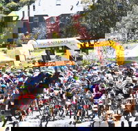 Snowies MTB Festival - Accommodation Sydney