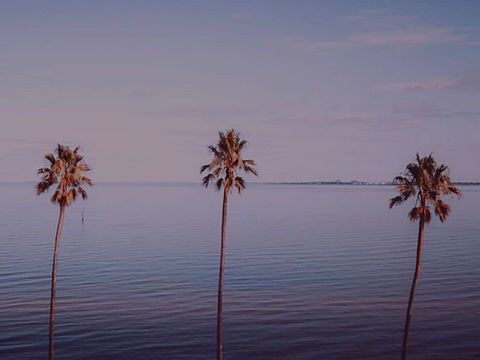 Sunset Streaming Live DJ Streams - Accommodation Sydney 0