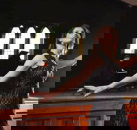 SwanSongs - Ghosts Fools and Seers - Accommodation Sydney