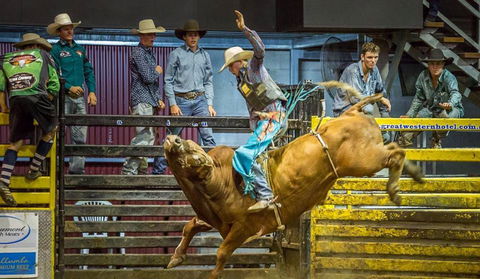 Top Gun And Young Gun Series Round 7 - Accommodation Sydney 0