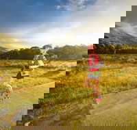 Trail Run Australia  Snowy Mountains - Accommodation Sydney