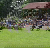 Tumut Derby Day - Sydney 4u