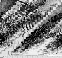 Wayward Women - Accommodation Sydney