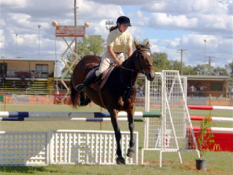 Wee Waa Show - Accommodation Sydney 0