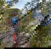 Wild Earth Coastal High 50 - Accommodation Sydney