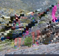 Wonderland Run - Accommodation Sydney