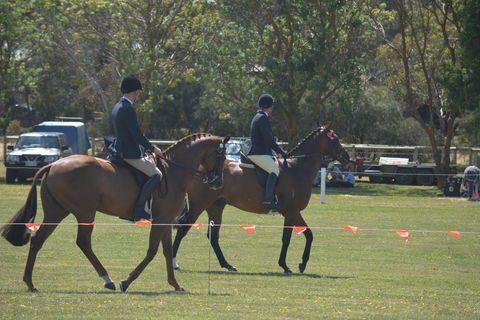 Yankalilla Show - Accommodation Sydney 2