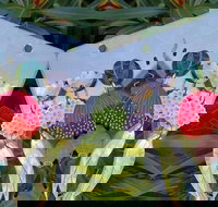 Acrylic Earring Workshop Native Florals - Accommodation Sydney