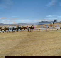 Adaminaby Cup Race Day - Sydney 4u