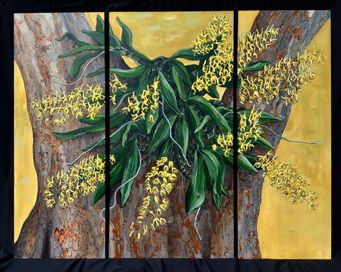 A Still Life - Solo Exhibition  Karen Sedaitis - Accommodation Sydney 1