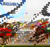 Ballina Boxing Day Races - Accommodation Sydney