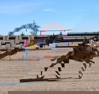 Bedourie Camel and Pig Races and Camp oven Cook-off - Accommodation Sydney