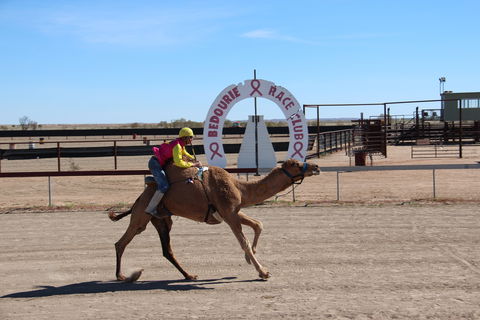 Bedourie Camel And Pig Races And Camp Oven Cook-off - Sydney 4u 0