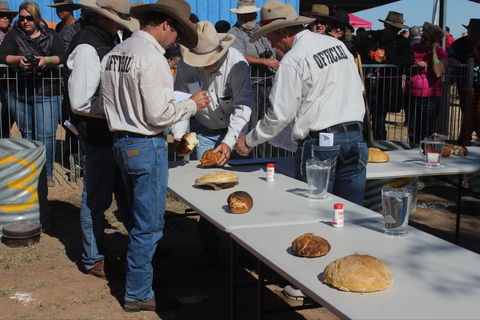 Bedourie Camel And Pig Races And Camp Oven Cook-off - Sydney 4u 2