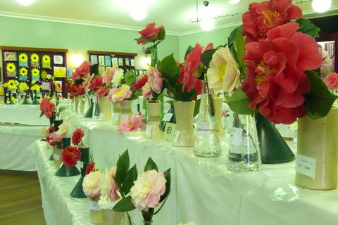 Blackheath Flower And Craft Show - Accommodation Sydney 1