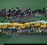 Bledisloe Cup Qantas Wallabies versus All Blacks - Accommodation Sydney