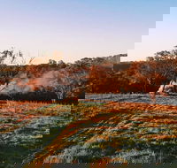 Cargo Road Wines Grande Fiamma - Accommodation Sydney