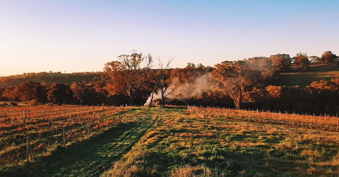 Cargo Road Wines Grande Fiamma - Accommodation Sydney 0