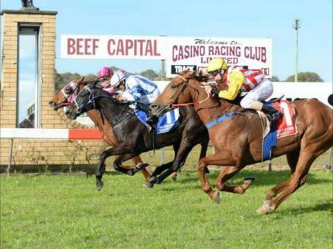 Casino Cup - Accommodation Sydney 0