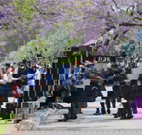 Celtic Festival of Queensland - Accommodation Sydney