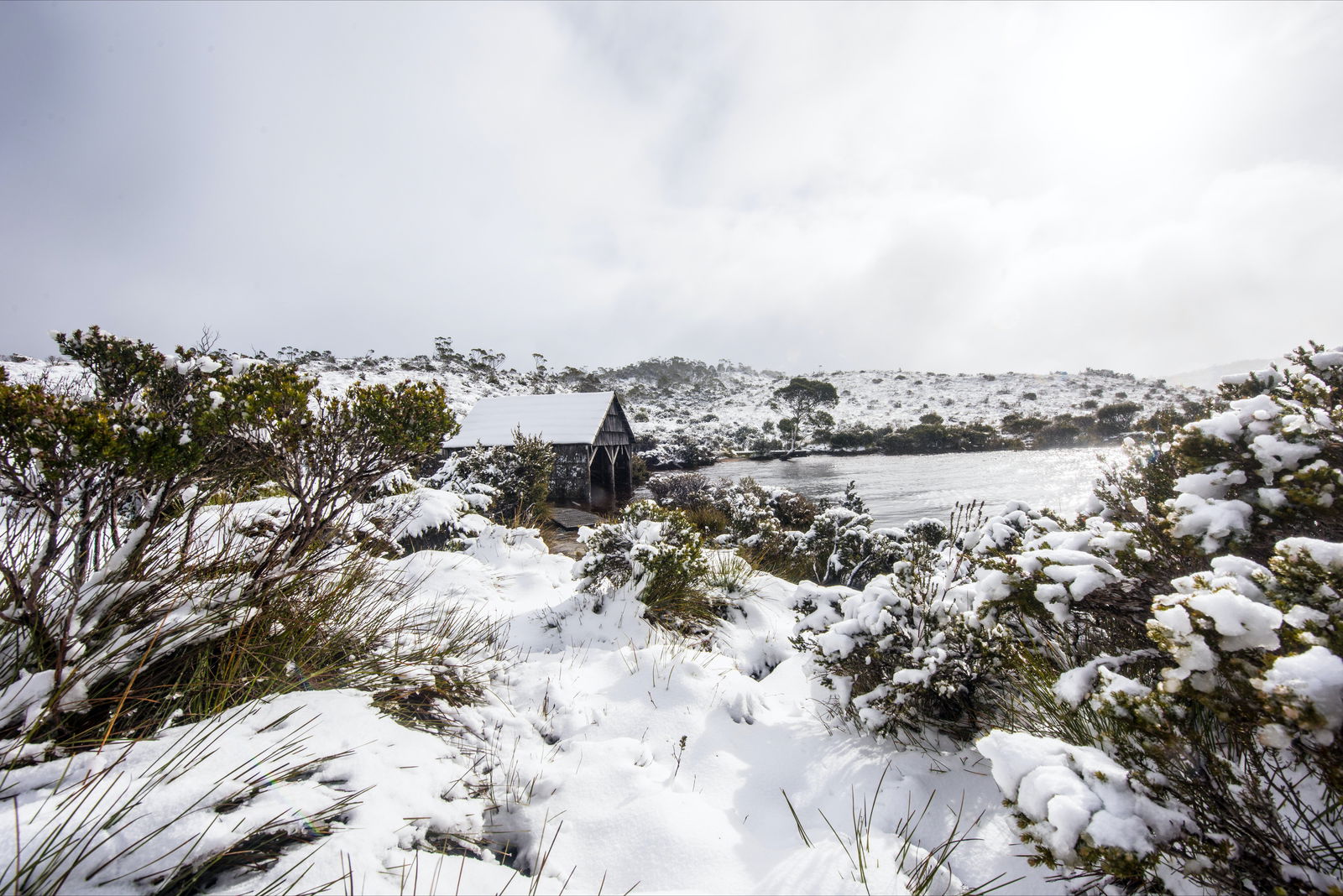 Cradle Mountain TAS Accommodation Sydney