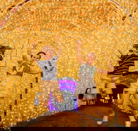 Christmas Lights Spectacular New Year's Eve at Hunter Valley Gardens - Accommodation Sydney