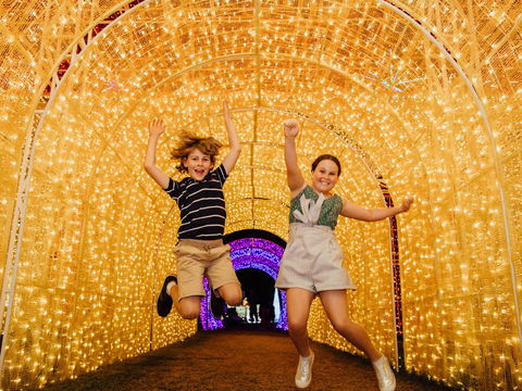 Christmas Lights Spectacular New Year's Eve At Hunter Valley Gardens - Accommodation Sydney 0