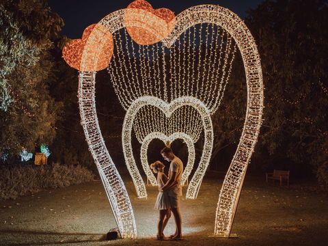 Christmas Lights Spectacular New Year's Eve At Hunter Valley Gardens - Accommodation Sydney 1