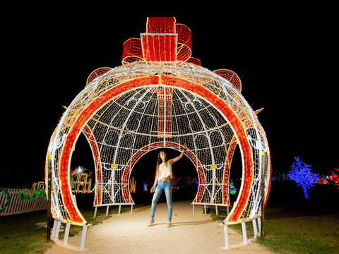 Christmas Lights Spectacular At Hunter Valley Gardens - Accommodation Sydney 1